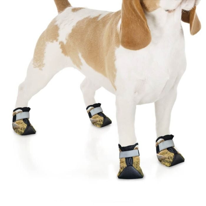 Customized Dog Shoes With Photo Picture and Your Own Design My Design List