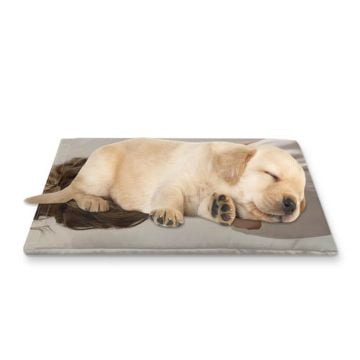 Custom Pet Ice Pack With Pictures, Design, Texts, etc.