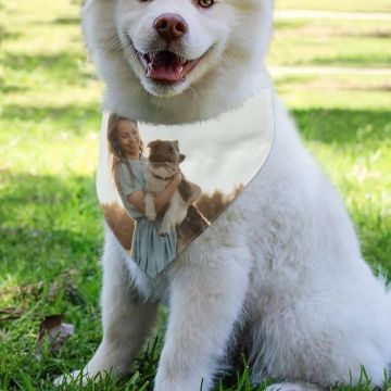 Customized Pet Bandana With Adjustable Buckle With Photos, Design, Texts, etc.