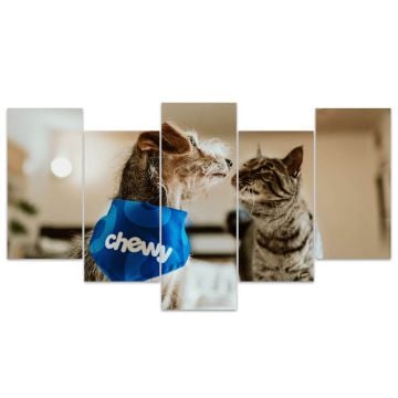 Decorazione da parete in tela da 5 pezzi personalizzata con foto e lettere