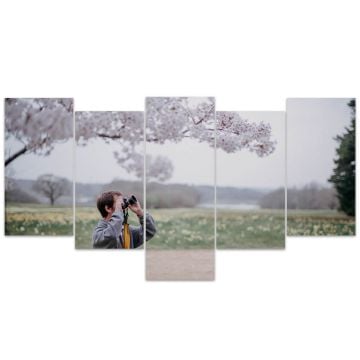 5 piezas de lienzo de decoración de pared con foto personalizada