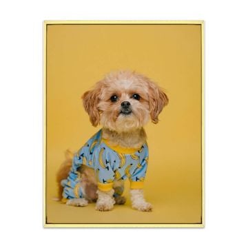 70 x 90 cm (27,6 "x 35,4") Quadro su tela incorniciato Wall Art personalizzata con foto e lettere