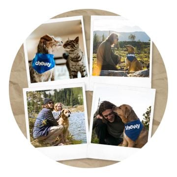 Regali personalizzati per l'inaugurazione della casa - Tappeto in peluche antiscivolo con diametro di 80 cm (31,5") personalizzato con foto
